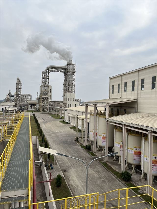 Dongwha Chemical Plant
